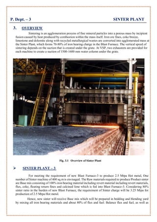 Report on RINL - Visakhapatnam Steel Plant | PDF
