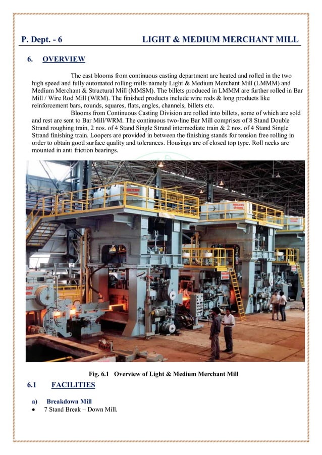Report on RINL Visakhapatnam Steel Plant