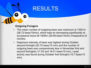 STUDY ON FORAGING BEHAVIOUR OF STINGLESS BEE, Trigona iridipennis IN ...