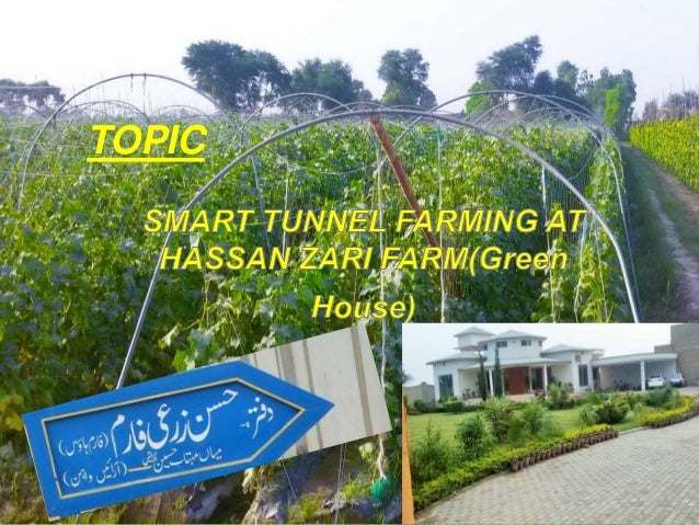 outline report sales in Farming Practice Innovative Tunnel Pakistan