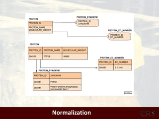 Designing Biological Databases | PDF