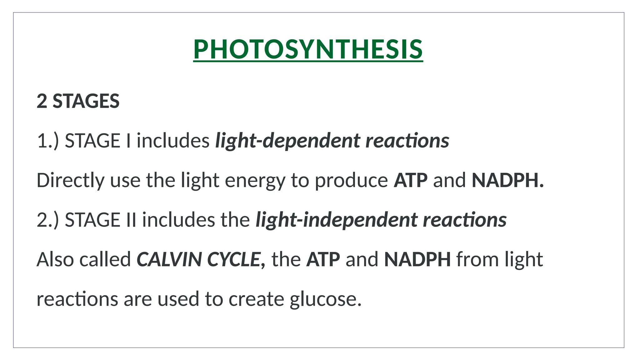 2 STAGES
1.) STAGE I includes light-dependent reactions
Directly use the light energy to produce ATP and NADPH.
2.) STAGE II includes the light-independent reactions
Also called CALVIN CYCLE, the ATP and NADPH from light
reactions are used to create glucose.
PHOTOSYNTHESIS
 