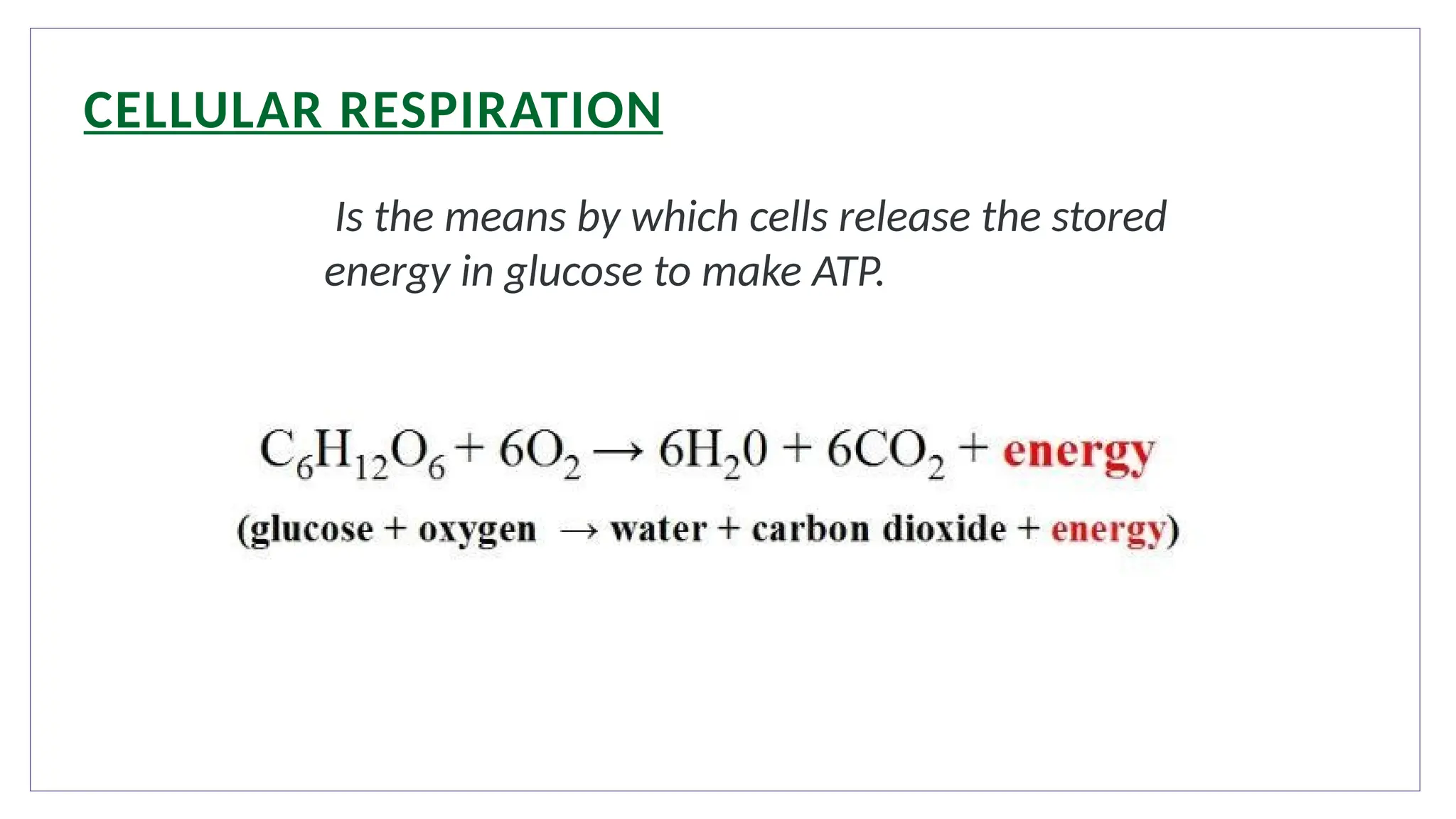 CELLULAR RESPIRATION
Is the means by which cells release the stored
energy in glucose to make ATP.
 