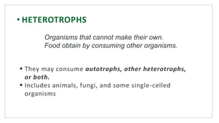 • HETEROTROPHS
 They may consume autotrophs, other heterotrophs,
or both.
 Includes animals, fungi, and some single-celled
organisms
Organisms that cannot make their own.
Food obtain by consuming other organisms.
 