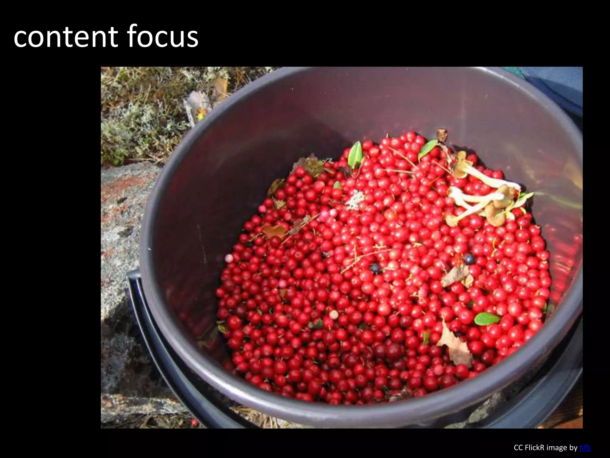 content focusCC FlickR image by hfb