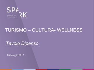 TURISMO – CULTURA- WELLNESS
24 Maggio 2017
Tavolo Dipenso
 