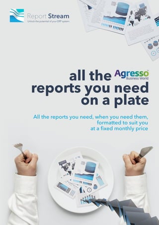 all the
reports you need
       on a plate
All the reports you need, when you need them,
                          formatted to suit you
                       at a fixed monthly price
 