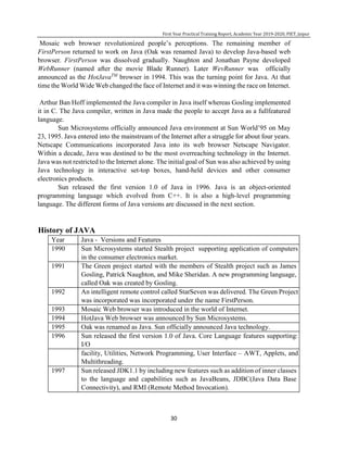 Report summer training core java | PDF