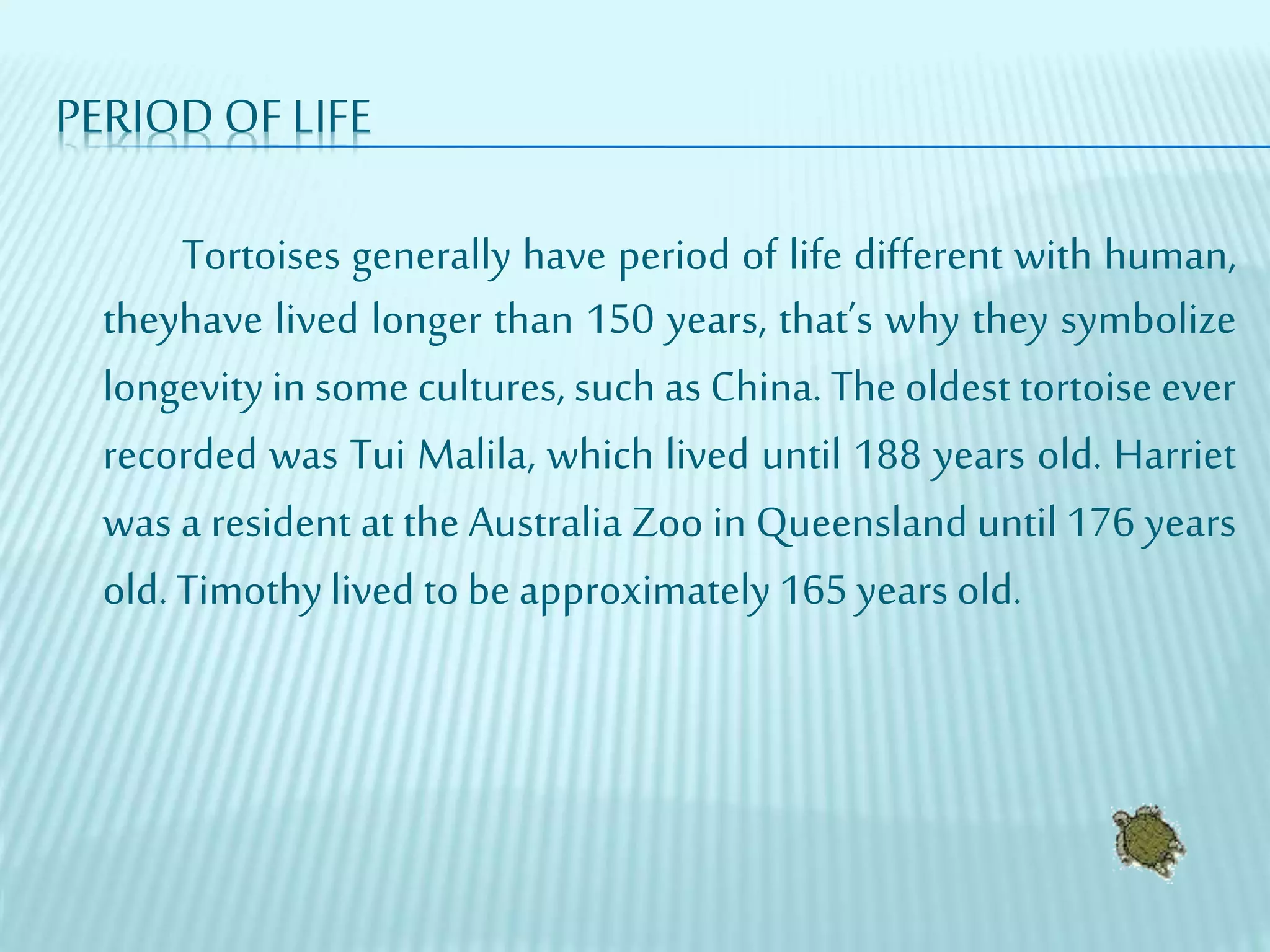 PERIOD OF LIFE
Tortoises generally have period of life different with human,
theyhave lived longer than 150 years, that’s why they symbolize
longevity in some cultures, such as China. The oldest tortoise ever
recorded was Tui Malila, which lived until 188 years old. Harriet
was a resident at the Australia Zoo in Queensland until 176 years
old. Timothylived tobe approximately 165 years old.
 