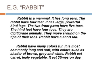 Report Text Rabbit Report text | PPTX