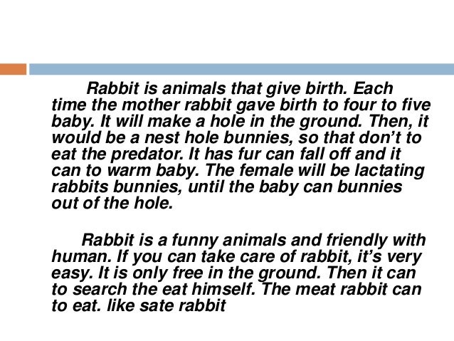 contoh report text about animals contoh report text about animals