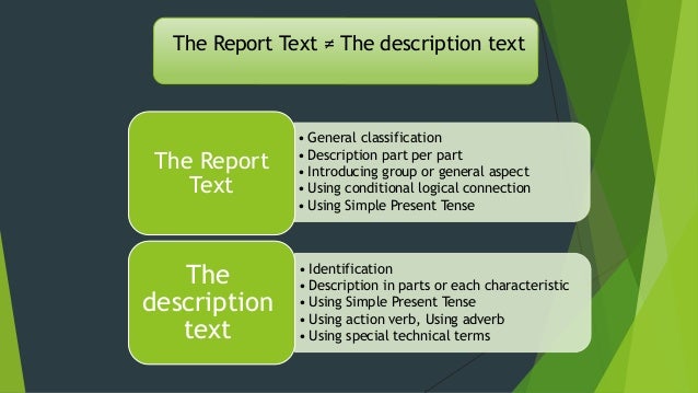 Report text