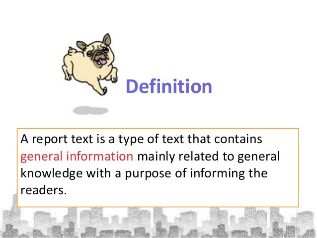 contoh report text tentang hewan honey bear