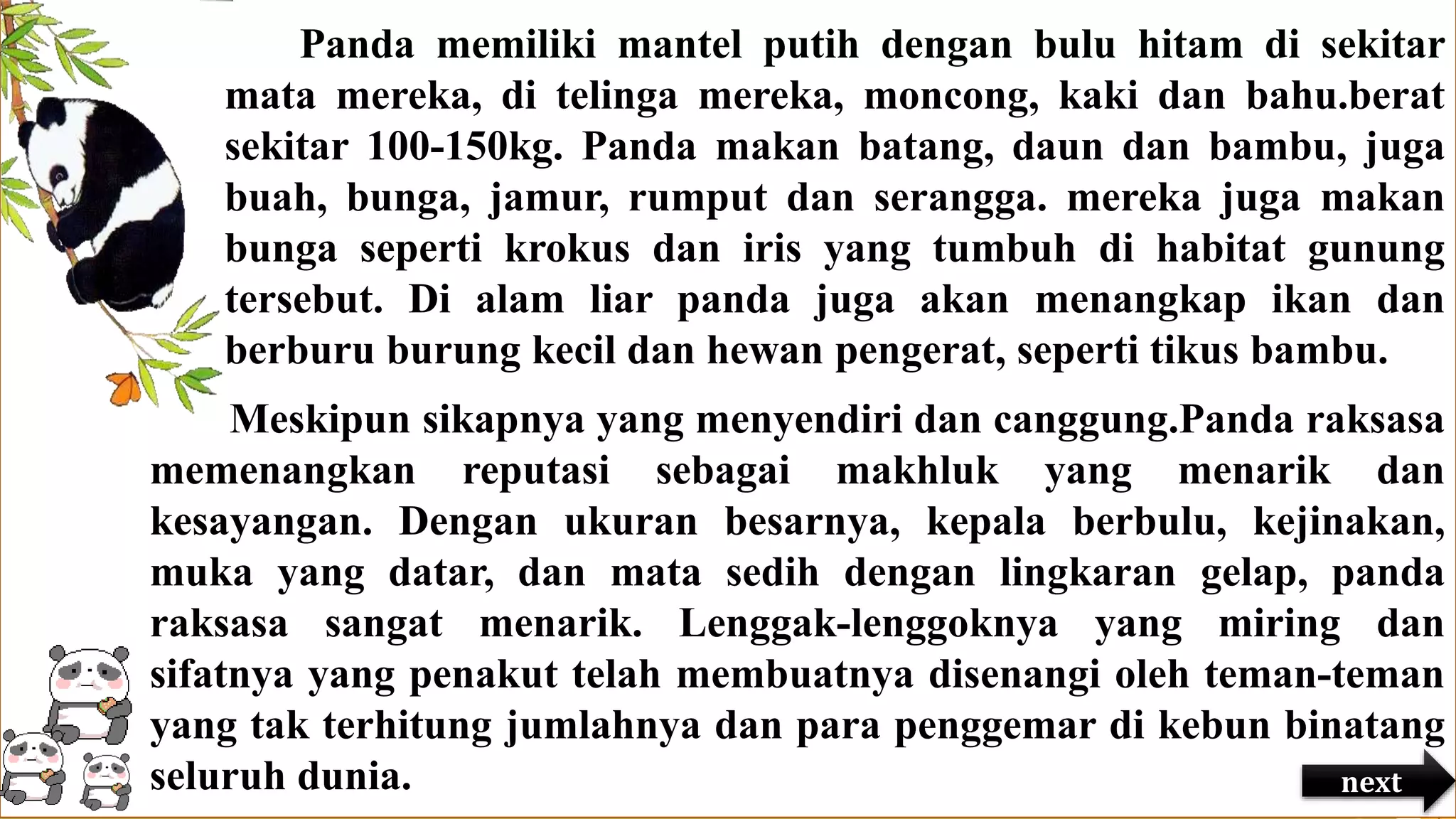 Panda memiliki mantel putih dengan bulu hitam di sekitar
mata mereka, di telinga mereka, moncong, kaki dan bahu.berat
sekitar 100-150kg. Panda makan batang, daun dan bambu, juga
buah, bunga, jamur, rumput dan serangga. mereka juga makan
bunga seperti krokus dan iris yang tumbuh di habitat gunung
tersebut. Di alam liar panda juga akan menangkap ikan dan
berburu burung kecil dan hewan pengerat, seperti tikus bambu.
Meskipun sikapnya yang menyendiri dan canggung.Panda raksasa
memenangkan reputasi sebagai makhluk yang menarik dan
kesayangan. Dengan ukuran besarnya, kepala berbulu, kejinakan,
muka yang datar, dan mata sedih dengan lingkaran gelap, panda
raksasa sangat menarik. Lenggak-lenggoknya yang miring dan
sifatnya yang penakut telah membuatnya disenangi oleh teman-teman
yang tak terhitung jumlahnya dan para penggemar di kebun binatang
seluruh dunia. next
 