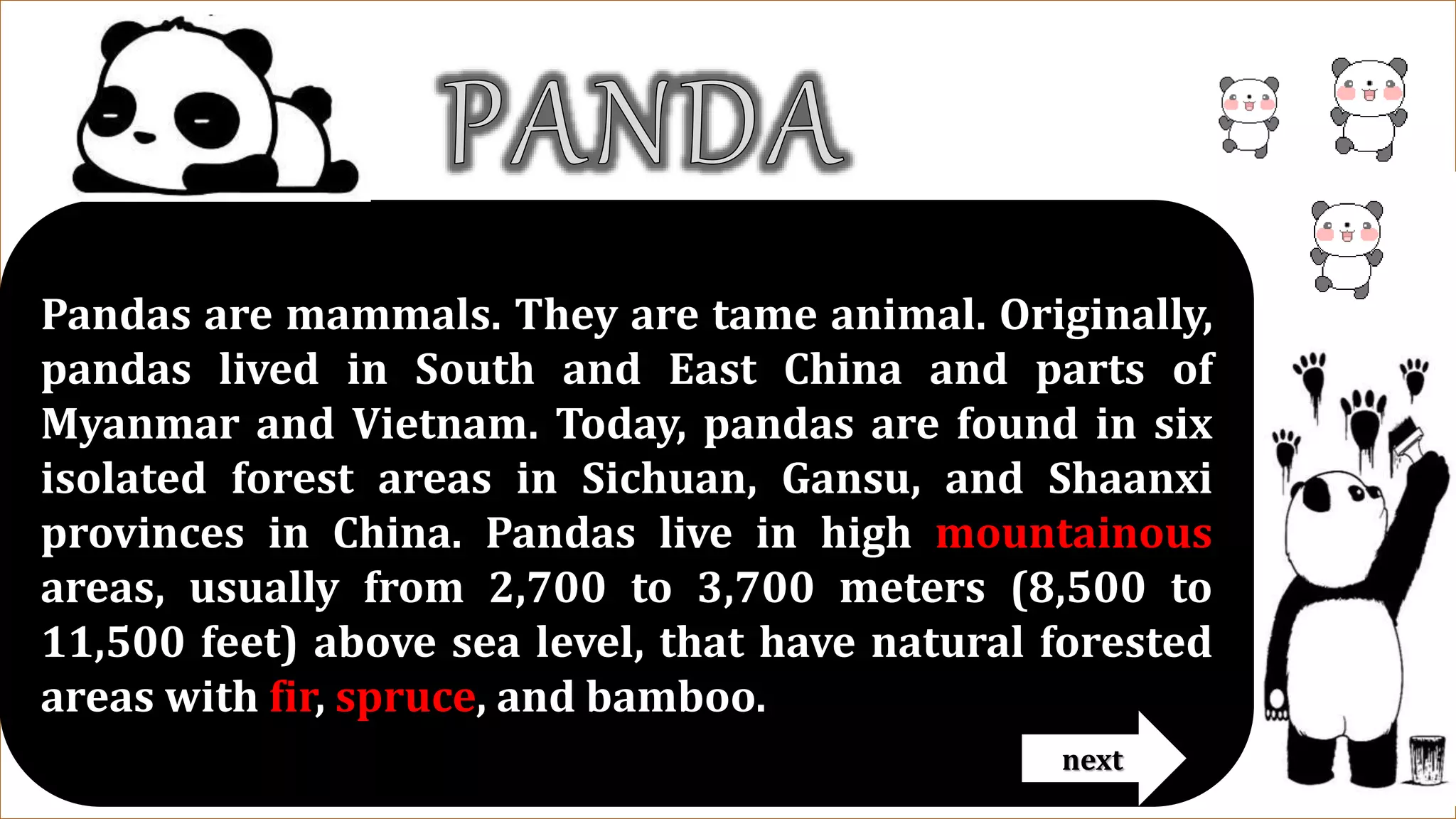 Pandas are mammals. They are tame animal. Originally,
pandas lived in South and East China and parts of
Myanmar and Vietnam. Today, pandas are found in six
isolated forest areas in Sichuan, Gansu, and Shaanxi
provinces in China. Pandas live in high mountainous
areas, usually from 2,700 to 3,700 meters (8,500 to
11,500 feet) above sea level, that have natural forested
areas with fir, spruce, and bamboo.
next
 