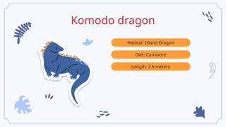Komodo dragon
Habitat: Island Dragon
Diet: Carnivore
Length: 2.6 meters
 