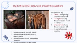  Do you know the animals above?
 Do you know those animals are
endangered?
 Do you know anything about those
animals?

Study the animal below and answer the questions
Vocabs of the day…
1. Extinct : Living things
which have died out.
2. Endangered: Living
things which are at risk
of extinction.
3. Alive and well: living
things which are still
alive and in a good
condition
 