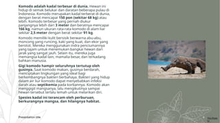 Presentation title 6
Komodo adalah kadal terbesar di dunia. Hewan ini
hidup di semak belukar dan daratan beberapa pulau di
Indonesia. Komodo merupakan kadal terberat di dunia,
dengan berat mencapai 150 pon (sekitar 68 kg) atau
lebih. Komodo terbesar yang pernah diukur
panjangnya lebih dari 3 meter dan beratnya mencapai
166 kg, namun ukuran rata-rata komodo di alam liar
sekitar 2,5 meter dengan berat sekitar 91 kg.
Komodo memiliki kulit bersisik berwarna abu-abu,
moncong yang runcing, kaki yang kuat, dan ekor yang
berotot. Mereka menggunakan indra penciumannya
yang tajam untuk menemukan bangkai hewan dari
jarak yang sangat jauh. Selain itu, mereka juga
memangsa kadal lain, mamalia besar, dan terkadang
bahkan manusia.
Gigi komodo hampir seluruhnya tertutup oleh
gusinya. Saat komodo makan, gusinya berdarah,
menciptakan lingkungan yang ideal bagi
berkembangnya bakteri berbahaya. Bakteri yang hidup
dalam air liur komodo dapat menyebabkan infeksi
darah atau septikemia pada korbannya. Komodo akan
menggigit mangsanya, lalu mengikutinya sampai
hewan tersebut terlalu lemah untuk melarikan diri.
Spesies kadal ini terancam oleh perburuan,
berkurangnya mangsa, dan hilangnya habitat.
This Photo
by
 