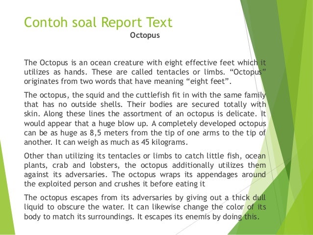 Contoh Recount Text With Generic Structure - Sportschuhe 