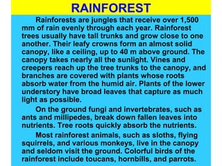 RAINFOREST
Rainforests are jungles that receive over 1,500
mm of rain evenly through each year. Rainforest
trees usually have tall trunks and grow close to one
another. Their leafy crowns form an almost solid
canopy, like a ceiling, up to 40 m above ground. The
canopy takes nearly all the sunlight. Vines and
creepers reach up the tree trunks to the canopy, and
branches are covered with plants whose roots
absorb water from the humid air. Plants of the lower
understory have broad leaves that capture as much
light as possible.
On the ground fungi and invertebrates, such as
ants and millipedes, break down fallen leaves into
nutrients. Tree roots quickly absorb the nutrients.
Most rainforest animals, such as sloths, flying
squirrels, and various monkeys, live in the canopy
and seldom visit the ground. Colorful birds of the
rainforest include toucans, hornbills, and parrots.
 
