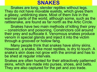 SNAKES
Snakes are long, slender reptiles without legs.
They do not have movable eyelids, which gives them
a glassy, unblinking stare. Most of them live in the
warmer parts of the world, although some, such as the
rattlesnake, are found as far north as the Artic Circle.
Snakes have two main methods of killing their prey
– constriction and poisoning. Constrictors coil around
their prey and suffocate it. Venomous snakes produce
venom in special glands and inject it into the victim
through a grooved or hollow fang.
Many people think that snakes have slimy skins.
However, a snake, like most reptiles, is dry to touch. A
snake’s skin does not grow with the animal and has to
be shed at regular intervals.
Snakes are often hunted for their attractively patterned
skins, which are made into purses, shoes, and belts.
They are also captured for the pet and zoo trade.
 