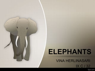 ELEPHANTS
 VINA HERLINASARI
          IX C / 32
 