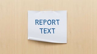 REPORT
TEXT
 