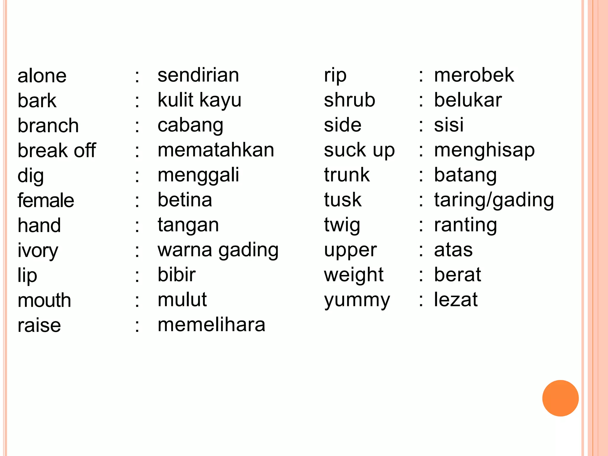 alone : sendirian
bark : kulit kayu
branch : cabang
break off : mematahkan
dig : menggali
female : betina
hand : tangan
ivory : warna gading
lip : bibir
mouth : mulut
raise : memelihara
rip : merobek
shrub : belukar
side : sisi
suck up : menghisap
trunk : batang
tusk : taring/gading
twig : ranting
upper : atas
weight : berat
yummy : lezat
 