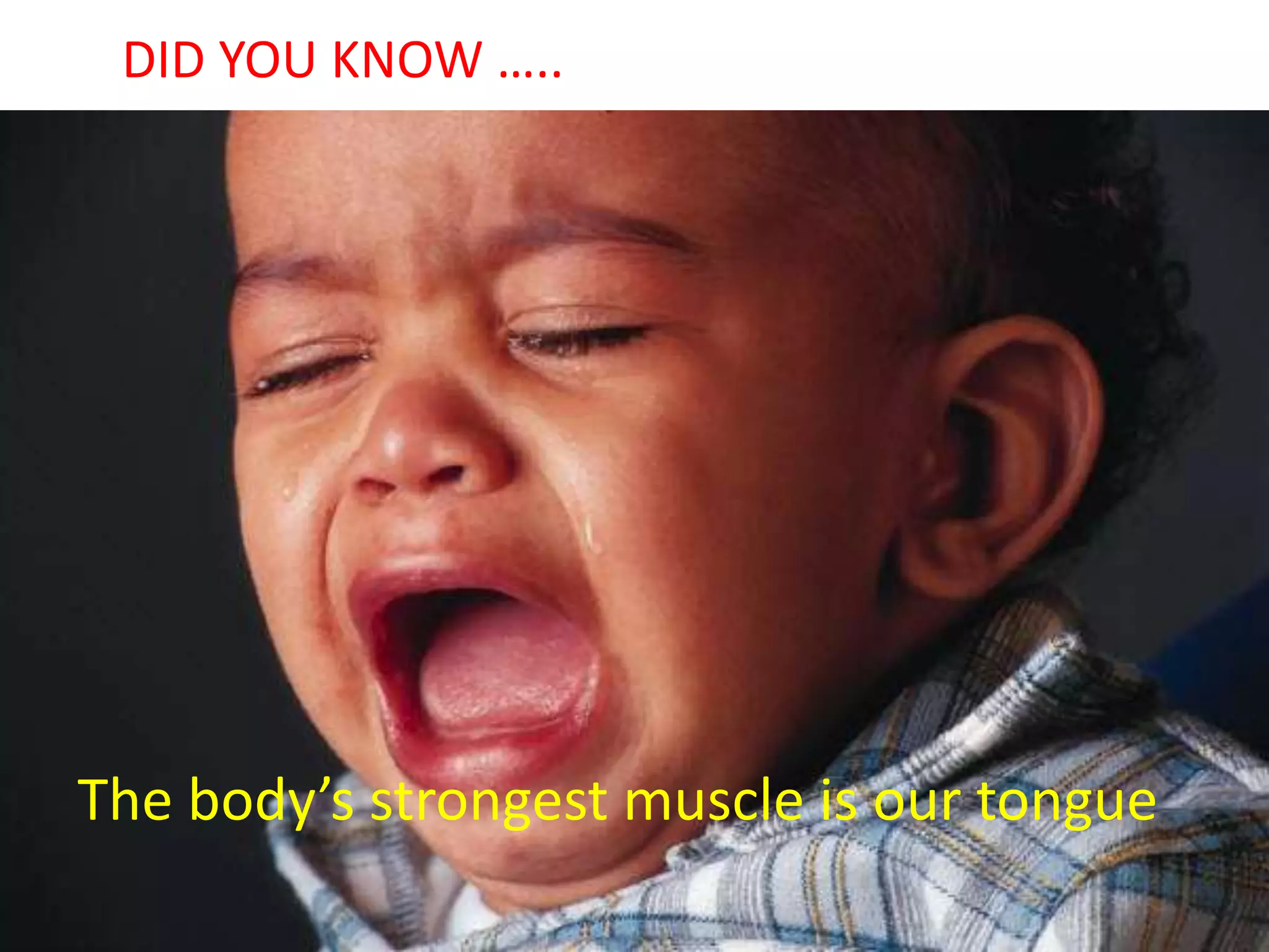 The body’s strongest muscle is our tongue
DID YOU KNOW …..
 