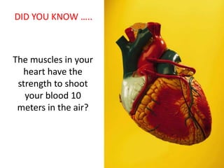 The muscles in your
heart have the
strength to shoot
your blood 10
meters in the air?
DID YOU KNOW …..
 