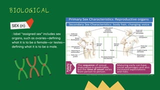 understanding-the-self-the-sexual-self-pdf