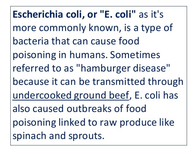 Foods That Can Cause E Coli Foods That Can Cause E Coli