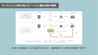 ライスレジンは何が良いの？ー(1)二酸化炭素の削減
お米の生産時にCO2を吸収するので、焼却時のCO2排出を相殺できます
 