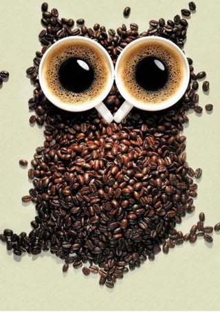 2 | P a g e
A COMPARATIVE ANALYSIS OF 2 BUSINESSES OF SIMILAR INDUSTRY IN DIFFERENT
GEOGRAPHICAL LOCATIONS|FNBE ELG30605
 