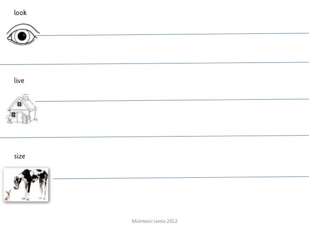 First steps writing program image