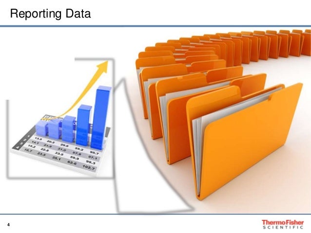 data report