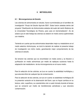 24
6 METODOLOGÍA
6.1 Microorganismos de Estudio
Las colonias de actinomicetos en estudio, fueron suministradas por el semillero de
investigación “Grupo de Estudio Agrícola GEA”. Estas fueron aisladas dentro del
proyecto “Clasificación de Actinomicetos aislados del suelo del Jardín Botánico de
la Universidad Tecnológica de Pereira, para usos en biorremediación”. Es de
aclarar que en este trabajo las colonias se aislaron en medio avena suplementado
con nistatina.
Teniendo en cuenta que los actinomicetos desarrollan mejor su metabolismo en el
medio selectivo Actinomyces, se tomó la decisión de realizar el presente trabajo
de investigación con dicho medio, garantizando mejor comportamiento de las
colonias en estudio.
Se tomaron las colonias que se encontraban en medio avena y se llevaron a
purificación en medio actinomices por medio de repliques sucesivos hasta la
adaptación del metabolismo de los microorganismos en el nuevo medio.
Para la selección de las colonias, se tuvo en cuenta: la estabilidad morfológica y
que estuviera libre de cualquier tipo de contaminación.
Para la selección de las colonias, se tuvo en cuenta: la estabilidad morfológica (El
no presentar variación en la observación del Gram, que no hayan cambios en su
textura, color, superficie y su característico olor a suelo húmedo durante el tiempo
que se conservó por medio de transferencias periodicas) y que estuviera
contaminación.
 