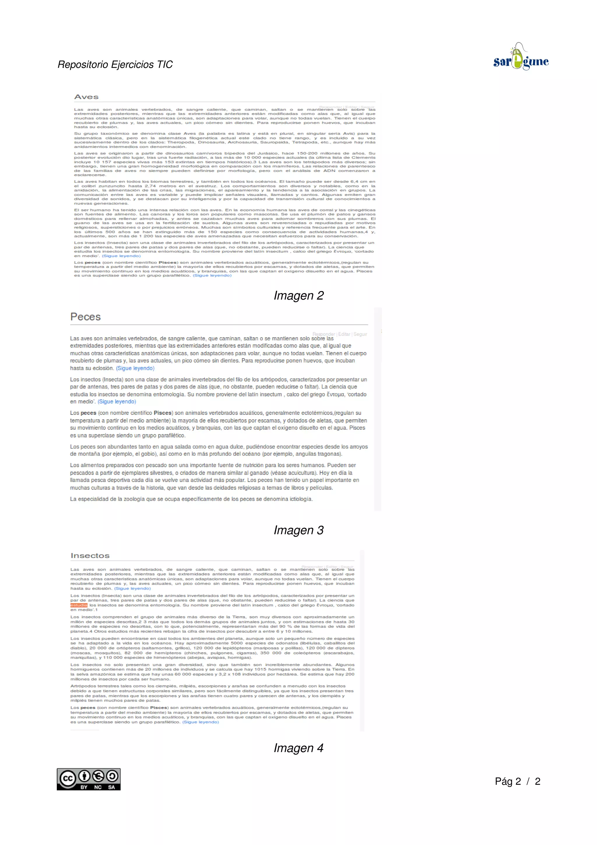 Repositorio Ejercicios TIC
Imagen 2
Imagen 3
Imagen 4
Pág 2 / 2
 