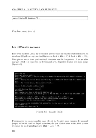 CHAPITRE 8. LA CONSOLE, ÇA SE MANGE ?
m—teoPIdm—teoPIEdesktopX~6 •
C'est bon, vous y êtes. :-)
Les diérentes consoles
Sous toute machine Linux, il y a donc non pas une mais six consoles qui fonctionnent en
simultané (d'où les six raccourcis diérents de Ctrl + Alt + F1 à Ctrl + Alt + F6).
Vous pouvez savoir dans quel terminal vous êtes lors du chargement : il est en eet
marqué  tty1  si vous êtes sur le terminal no 1. Regardez de plus près mon image
(gure 8.6).
Figure 8.6  Console  tty1 
L'information est un peu cachée mais elle est là. Au pire, vous changez de terminal
jusqu'à retrouver celui sur lequel vous êtes; dès que vous en avez marre, vous pouvez
retourner au mode graphique avec Ctrl + Alt + F7.
114
 