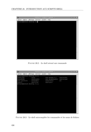 CHAPITRE 28. INTRODUCTION AUX SCRIPTS SHELL
Figure 28.2  Le shell attend une commande
Figure 28.3  Le shell autocomplète les commandes et les noms de chiers
456
 