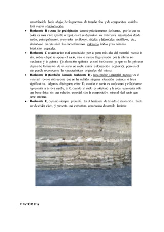 arrastrándola hacia abajo, de fragmentos de tamaño fino y de compuestos solubles.
Está sujeto a bioturbación.
 Horizonte B o zona de precipitado: carece prácticamente de humus, por lo que su
color es más claro (pardo o rojo), en él se depositan los materiales arrastrados desde
arriba, principalmente, materiales arcillosos, óxidos e hidróxidos metálicos, etc.,
situándose en este nivel los encontraremos calcáreos áridos y las corazas
lateríticas tropicales.
 Horizonte C o subsuelo: está constituido por la parte más alta del material rocoso in
situ, sobre el que se apoya el suelo, más o menos fragmentado por la alteración
mecánica y la química (la alteración química es casi inexistente ya que en las primeras
etapas de formación de un suelo no suele existir colonización orgánica), pero en él
aún puede reconocerse las características originales del mismo.
 Horizonte R (también llamado horizonte D), roca madre o material rocoso: es el
material rocoso subyacente que no ha sufrido ninguna alteración química o física
significativa. Algunos distinguen entre D, cuando el suelo es autóctono y el horizonte
representa a la roca madre, y R, cuando el suelo es alóctono y la roca representa sólo
una base física sin una relación especial con la composición mineral del suelo que
tiene encima.
 Horizonte E, capa no siempre presente. Es el horizonte de lavado o eluviación. Suele
ser de color claro, y presenta una estructura con escaso desarrollo laminar.
DIATOMITA
 