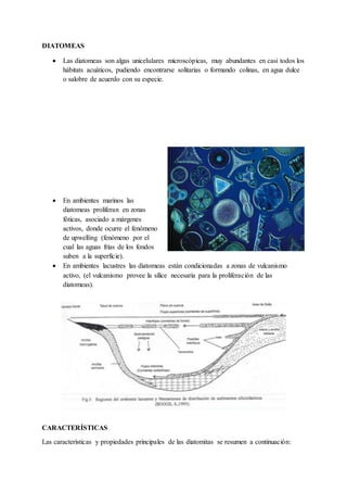 DIATOMEAS
 Las diatomeas son algas unicelulares microscópicas, muy abundantes en casi todos los
hábitats acuáticos, pudiendo encontrarse solitarias o formando colinas, en agua dulce
o salobre de acuerdo con su especie.
 En ambientes marinos las
diatomeas proliferan en zonas
fóticas, asociado a márgenes
activos, donde ocurre el fenómeno
de upwelling (fenómeno por el
cual las aguas frías de los fondos
suben a la superficie).
 En ambientes lacustres las diatomeas están condicionadas a zonas de vulcanismo
activo, (el vulcanismo provee la sílice necesaria para la proliferación de las
diatomeas).
CARACTERÍSTICAS
Las características y propiedades principales de las diatomitas se resumen a continuación:
 