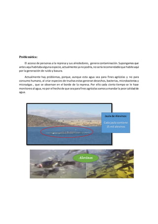 Problemática:
El acceso de personas a la represa y sus alrededores, genera contaminación. Supongamos que
antesaquíhabitabaalgunaespecie,actualmente yanopodría,noseríarecomendableque habiteaquí
por la generación de ruido y basura.
Actualmente hay problemas, porque, aunque esta agua sea para fines agrícolas y no para
consumo humano, al criar especies de truchas estas generan desechos, bacterias, microbacterias y
microalgas , que se observan en el borde de la represa. Por ello cada cierto tiempo se le hace
monitoreoal agua,nopor el hechode que seaparafinesagrícolasvamosa mandarla peorcalidadde
agua.
Jaula de Alevinos:
Cada jaula contiene
15 mil alevinos
Alevinos
 