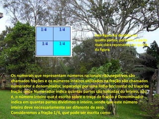 Esta figura foi dividida em quatro partes, portanto, a parte mais clara representa um quarto da figura.Os numerais que representam números racionais não-negativos são chamados frações e os números inteiros utilizados na fração são chamados numerador e denominador, separados por uma linha horizontal ou traço de fração onde Numerador indica quantas partes são tomadas do inteiro, isto é, o número inteiro que é escrito sobre o traço de fração e Denominador indica em quantas partes dividimos o inteiro, sendo que este número inteiro deve necessariamente ser diferente de zero. Consideremos a fração 1/4, que pode ser escrita como: