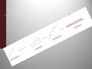 Representação Digital
