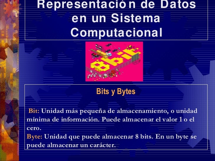 RepresentacióN De Datos En Un Sistema Computacional