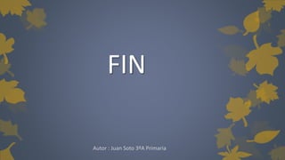 FIN 
Autor : Juan Soto 3ºA Primaria 
