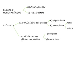                ALDOSAS: aldehído 1.1.OSAS O  MONOSACÁRIDOS            CETOSAS: cetona 														                             A) oligosacáridos			 1.2.1HOLÓSIDOS: solo glúcidos		                   homo 1.2ÓSIDOS				                B) polisacáridos  								           	     hetero 						          glucolípidos 			  1.2.2HETEROSIDOS 			     glúcidos + no glúcidos	         glucoproteínas 