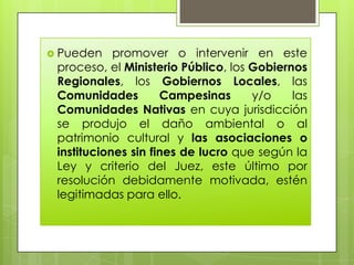  Pueden

promover o intervenir en este
proceso, el Ministerio Público, los Gobiernos
Regionales, los Gobiernos Locales, las
Comunidades
Campesinas
y/o
las
Comunidades Nativas en cuya jurisdicción
se produjo el daño ambiental o al
patrimonio cultural y las asociaciones o
instituciones sin fines de lucro que según la
Ley y criterio del Juez, este último por
resolución debidamente motivada, estén
legitimadas para ello.

 
