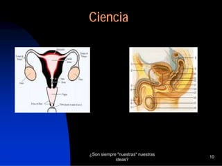 Representaciones Sociales